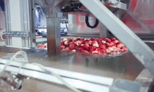 Sermac-Mele-05-q9zk369foay3ahhujon0bf6nx44m13o15838kdh514