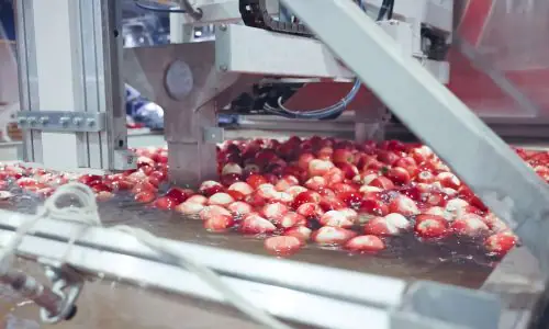 Sermac-Mele-06-q9zk2e29z9vhm6mt4cg78mau3jzlm6k31cio62my7s