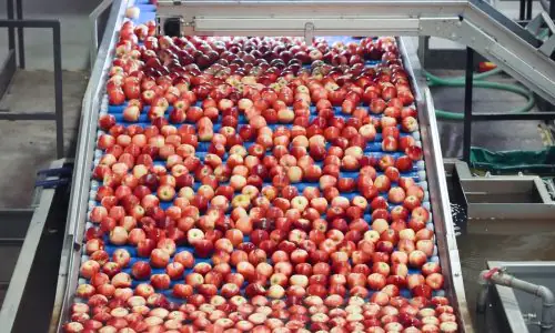 Sermac-Mele-09-q9zjzynabojtmg5sasnwaqcyupygqbx1pbuijc8kag