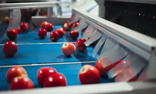 Sermac-Mele-10-q9zjz8bt0bjsld80khaccx027xk6qt0k9pkx3lbl4o